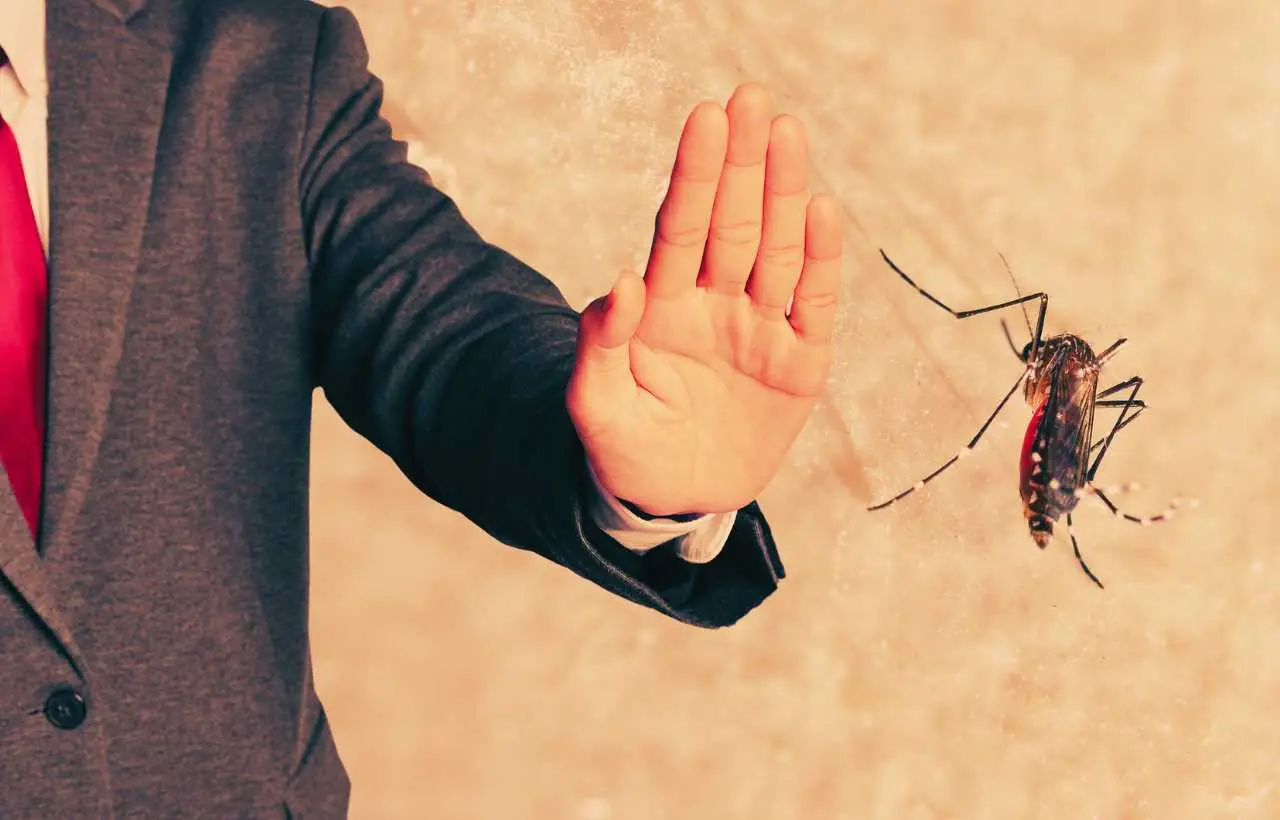 Zanzare in casa anche di giorno: il rimedio naturale che funziona davvero Zanzare in casa anche di giorno: il rimedio naturale che funziona davvero
