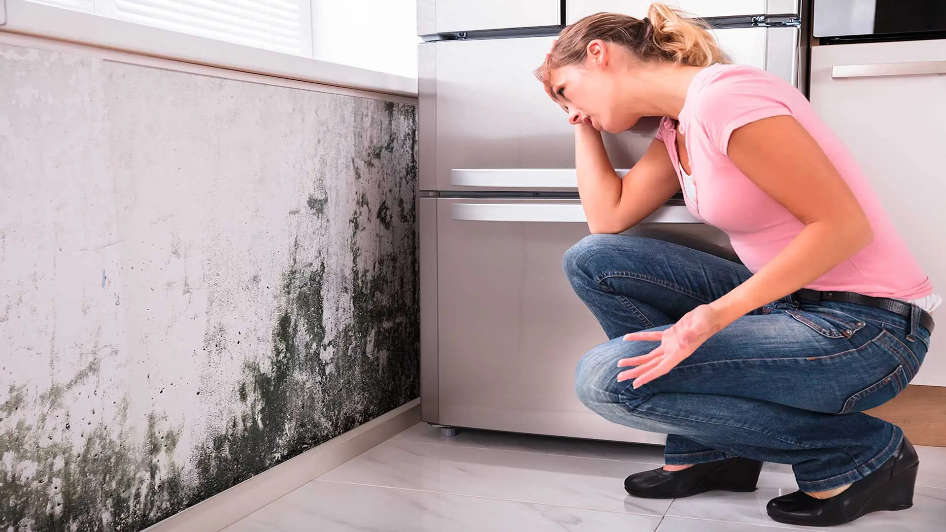 Odore di muffa in casa: cosa fare se arriva da pareti e condizionatori Odore di muffa in casa: cosa fare se arriva da pareti e condizionatori