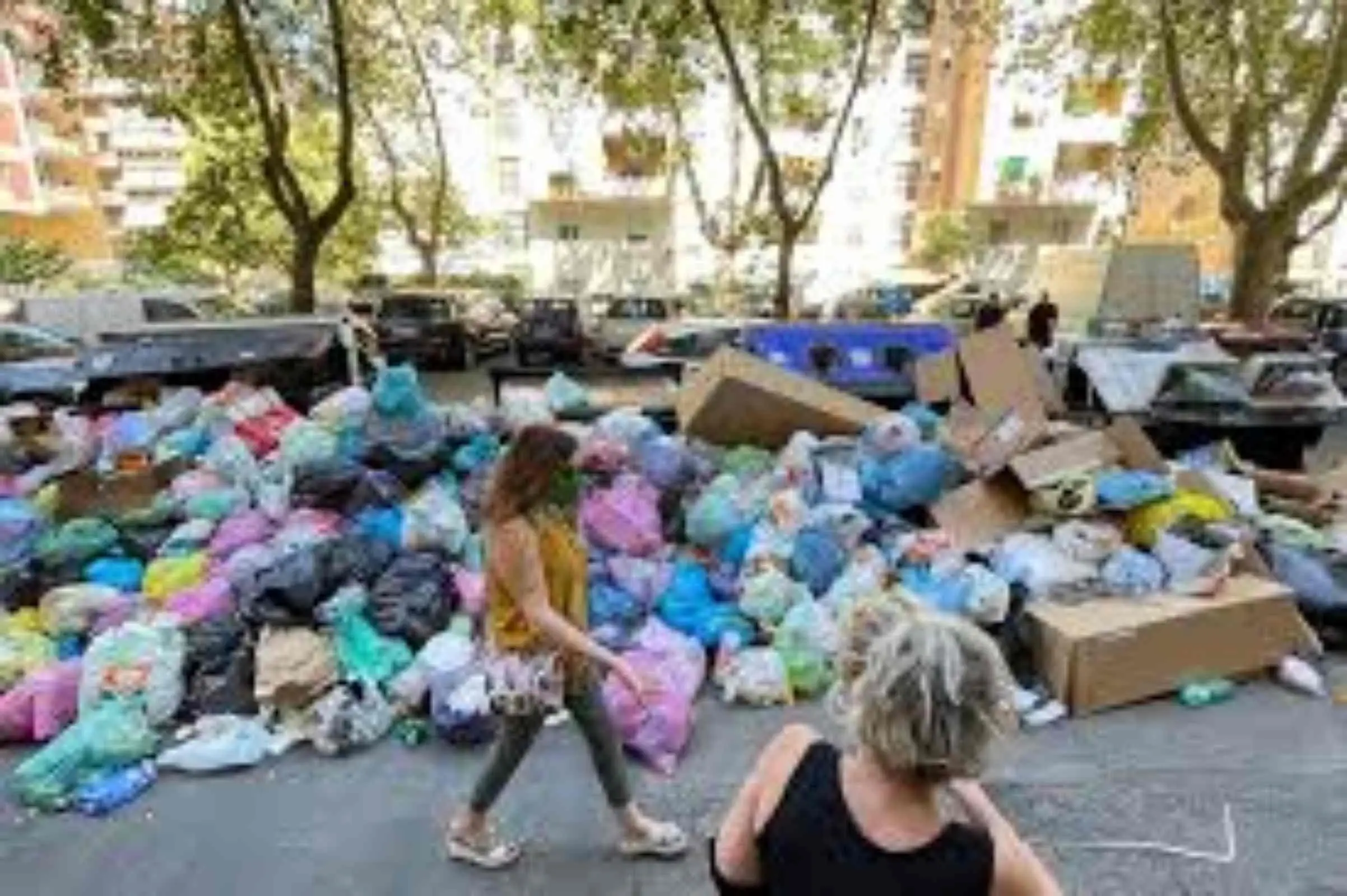 Marciapiedi sporchi e infestazioni: cosa puoi fare per segnalare il problema al Comune Marciapiedi sporchi e infestazioni: cosa puoi fare per segnalare il problema al Comune