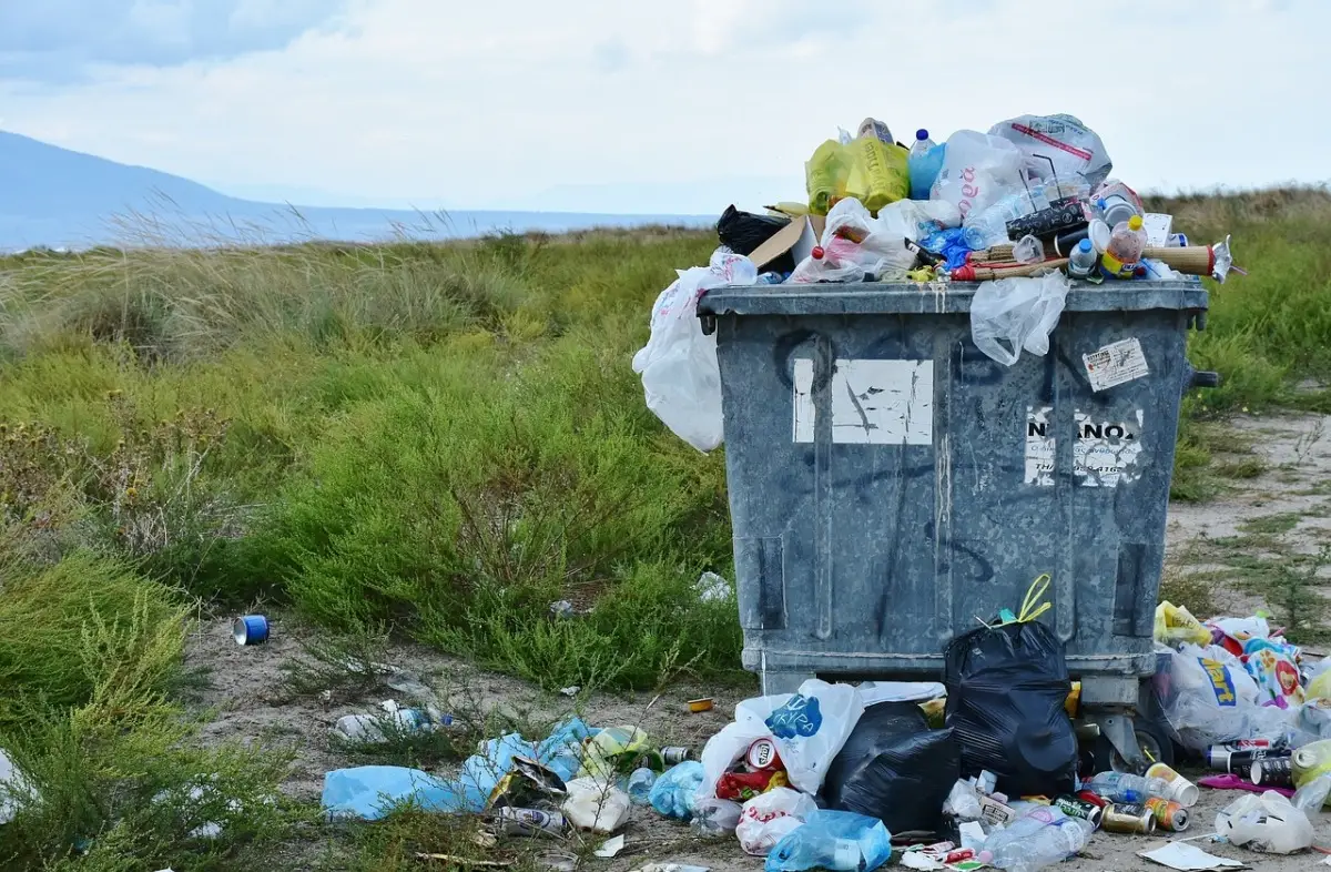 Marciapiedi sporchi e infestazioni: cosa puoi fare per segnalare il problema al Comune Marciapiedi sporchi e infestazioni: cosa puoi fare per segnalare il problema al Comune