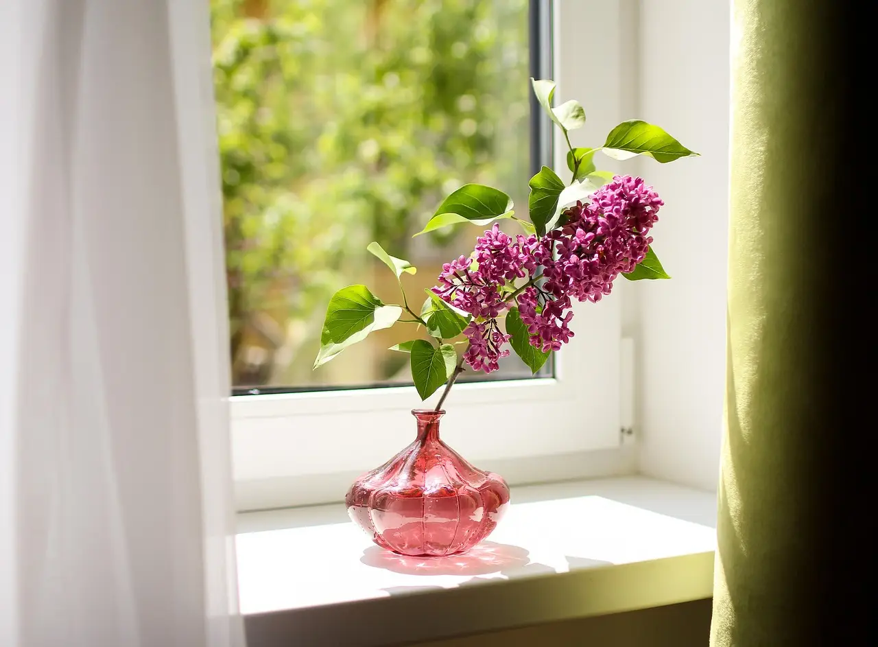 Come mantenere freschi i fiori recisi in casa durante il caldo di giugno: la guida del fiorista professionista Come mantenere freschi i fiori recisi in casa durante il caldo di giugno: la guida del fiorista professionista
