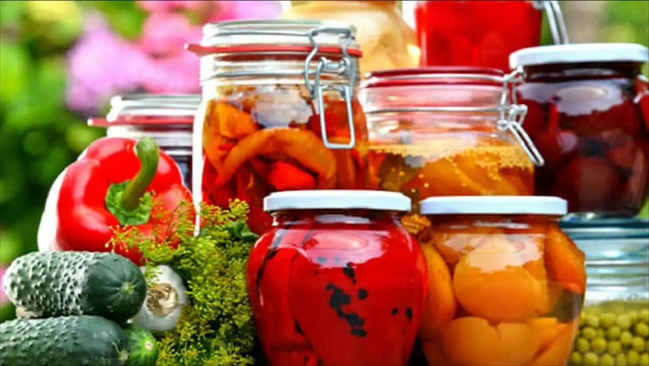 Organizza la dispensa contro gli insetti: la strategia vincente dell’igienista alimentare per l’estate 2025 Organizza la dispensa contro gli insetti: la strategia vincente dell’igienista alimentare per l’estate 2025