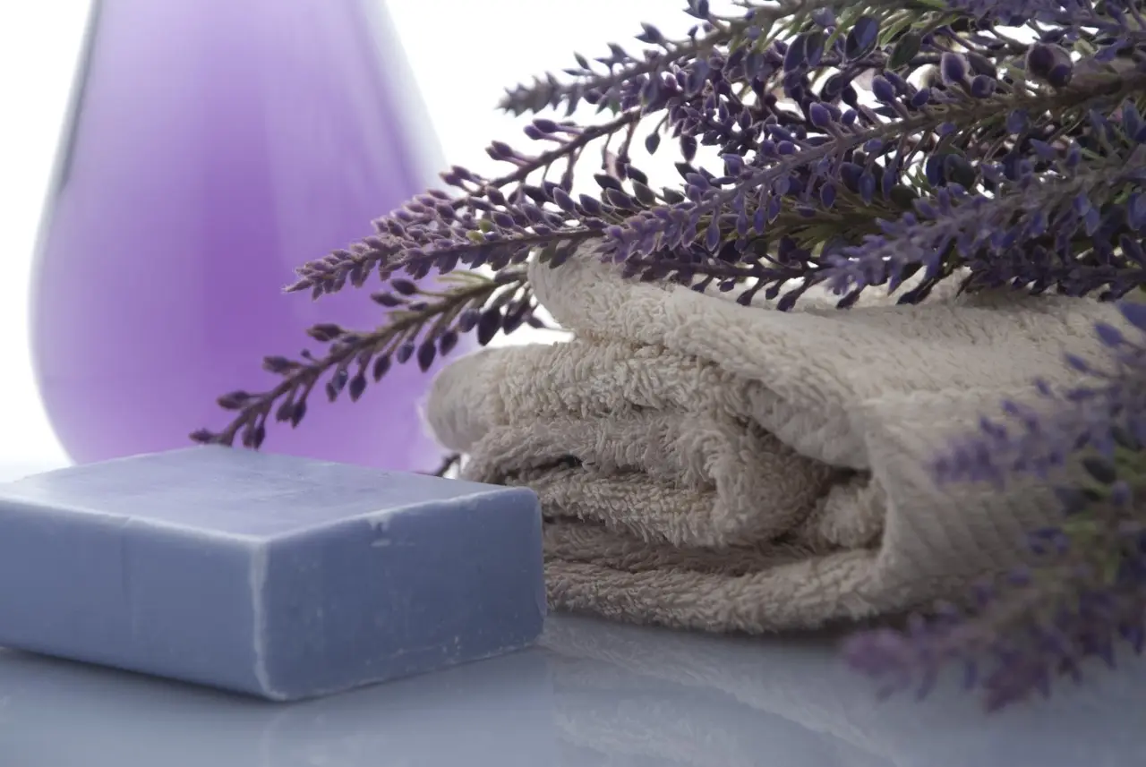 Ecco il metodo naturale per avere un bagno sempre profumato anche senza diffusori: il consiglio degli hotel di lusso Ecco il metodo naturale per avere un bagno sempre profumato anche senza diffusori: il consiglio degli hotel di lusso