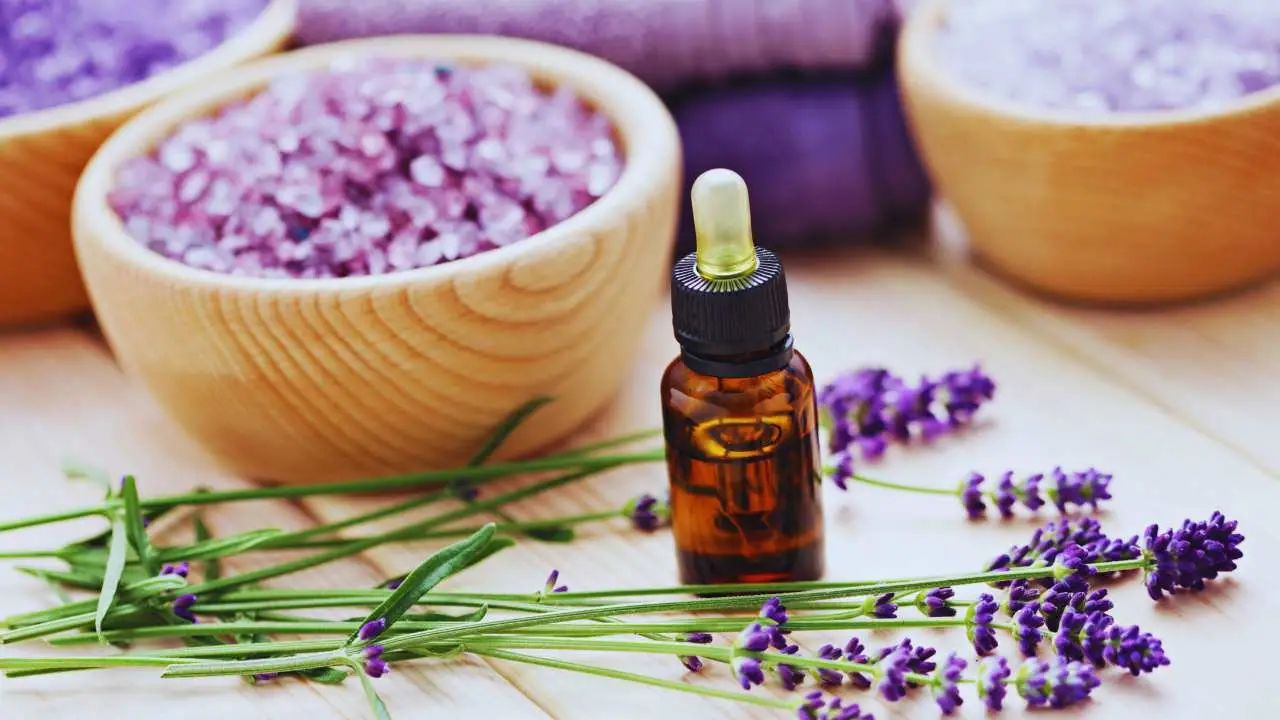 Ecco il metodo naturale per avere un bagno sempre profumato anche senza diffusori: il consiglio degli hotel di lusso Ecco il metodo naturale per avere un bagno sempre profumato anche senza diffusori: il consiglio degli hotel di lusso