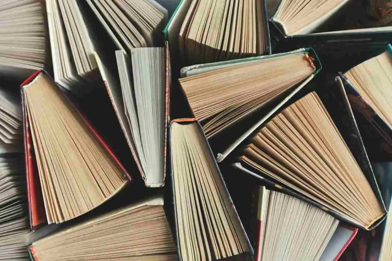 Come proteggere i libri dall’umidità in casa: il sistema dei restauratori per giugno Come proteggere i libri dall’umidità in casa: il sistema dei restauratori per giugno