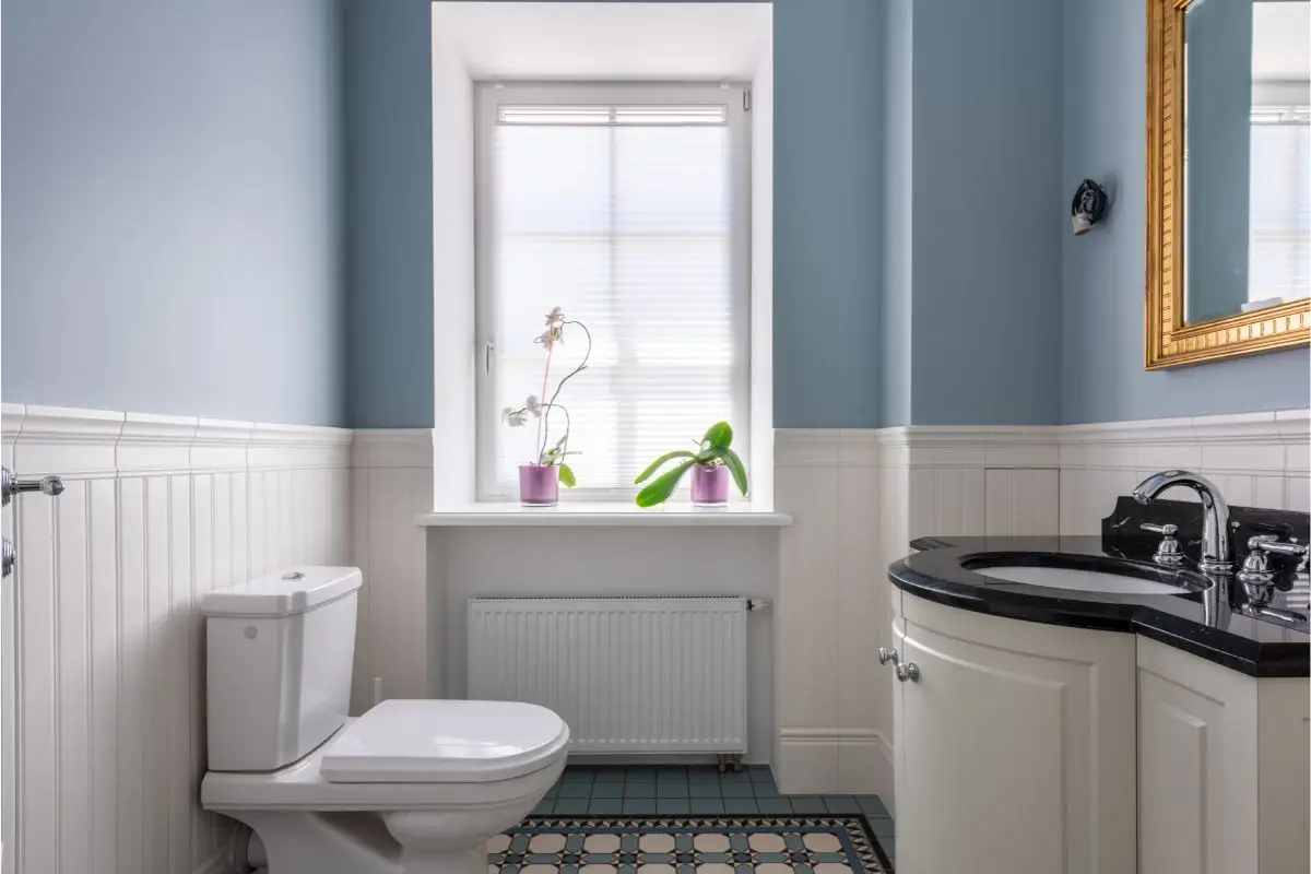 Bagno sempre fresco anche con il caldo: il trucco naturale degli igienisti ambientali per giugno Bagno sempre fresco anche con il caldo: il trucco naturale degli igienisti ambientali per giugno