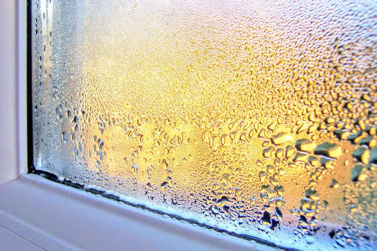 Come prevenire la formazione di condensa sulle finestre: la soluzione dell’ingegnere ambientale per giugno Come prevenire la formazione di condensa sulle finestre: la soluzione dell’ingegnere ambientale per giugno