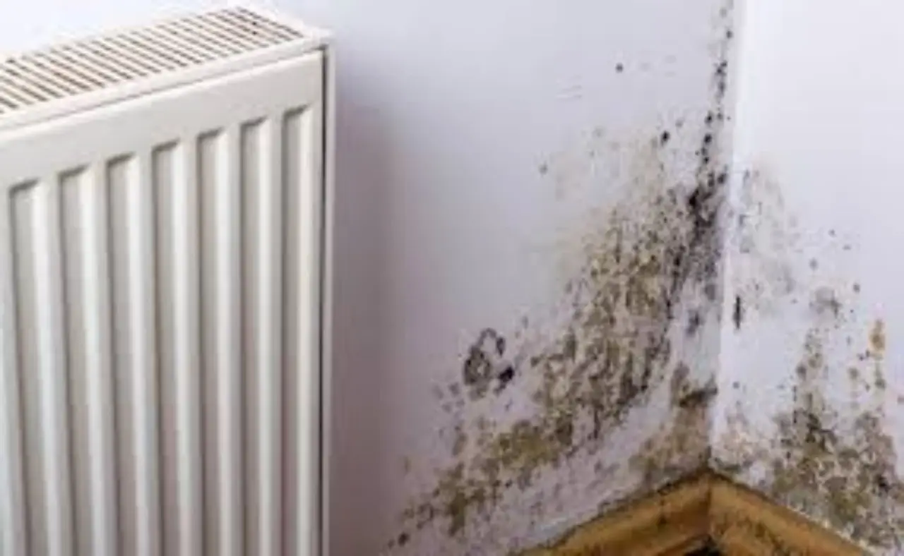 Come prevenire la formazione di condensa sulle finestre: la soluzione dell’ingegnere ambientale per giugno Come prevenire la formazione di condensa sulle finestre: la soluzione dell’ingegnere ambientale per giugno
