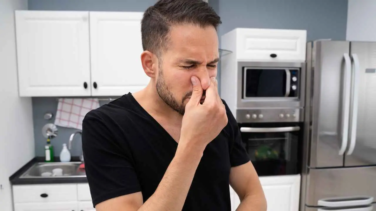 Come eliminare l’odore di cane bagnato in casa: il trucco usato nei toelettatori Come eliminare l’odore di cane bagnato in casa: il trucco usato nei toelettatori