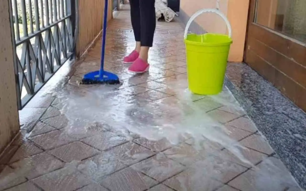 Balconi infestati da escrementi di uccelli: il rimedio naturale che crea una barriera invisibile Balconi infestati da escrementi di uccelli: il rimedio naturale che crea una barriera invisibile