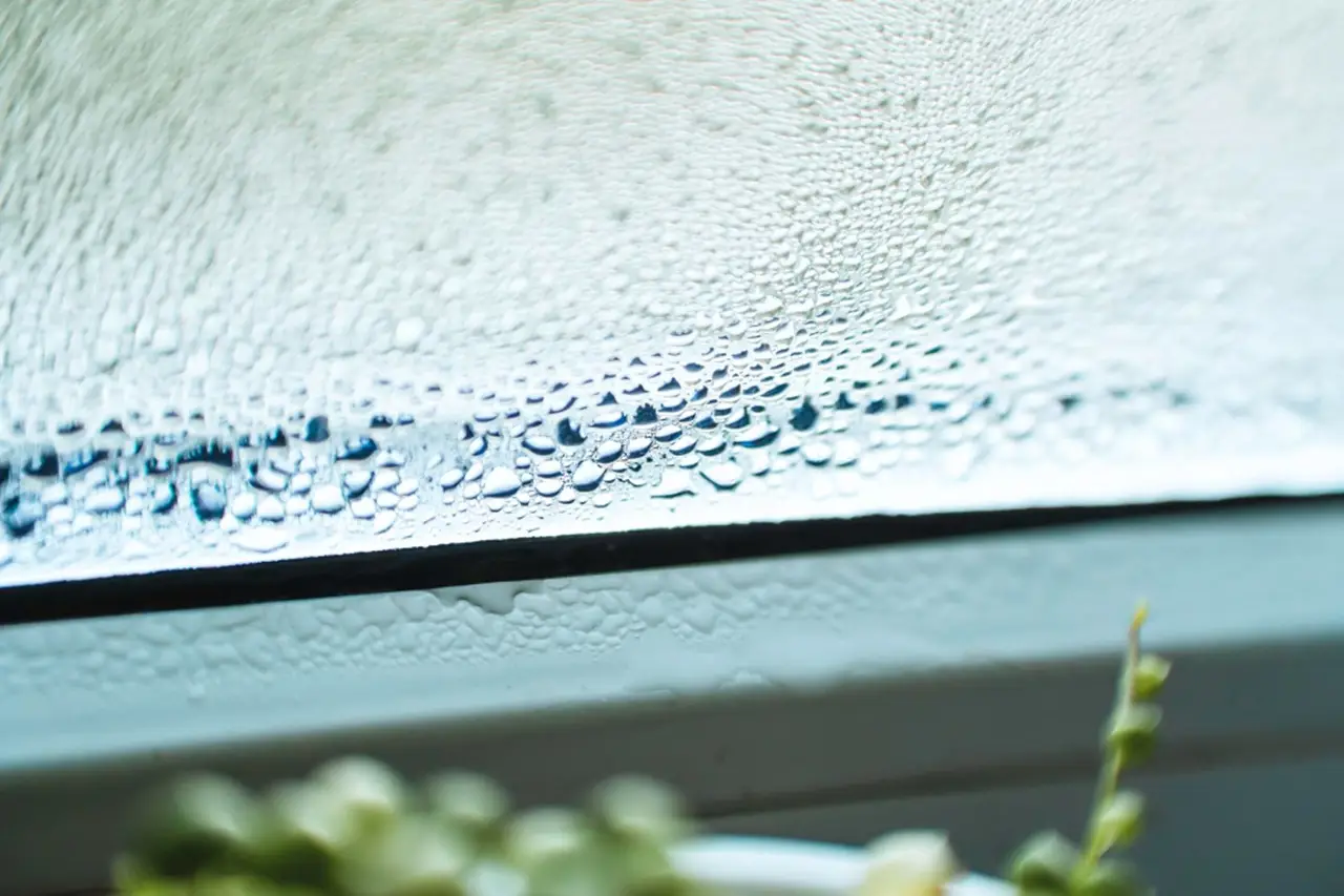 Finestra del bagno sempre appannata? Il trucco usato negli hotel per risolvere il problema Finestra del bagno sempre appannata? Il trucco usato negli hotel per risolvere il problema