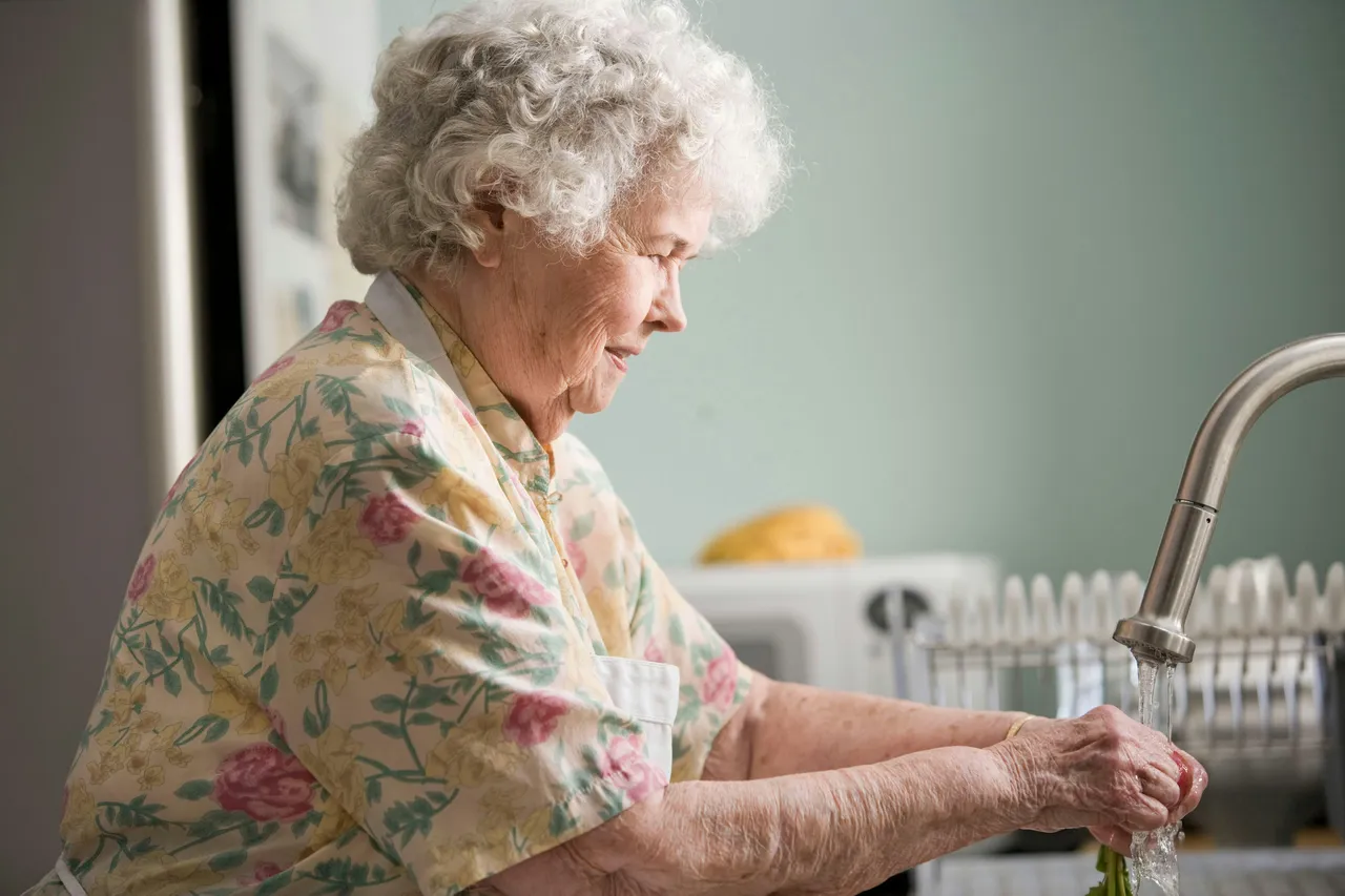 Rimedi della nonna: allontana i gechi dai muri con spezie e piante officinali fresche Rimedi della nonna: allontana i gechi dai muri con spezie e piante officinali fresche