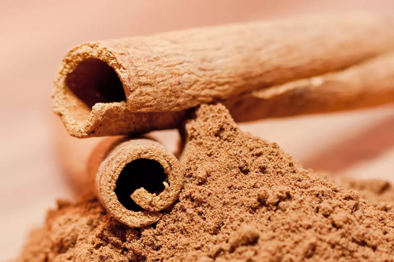 Prova adesso il rimedio della cannella in polvere: la soluzione anti-blatte più veloce Prova adesso il rimedio della cannella in polvere: la soluzione anti-blatte più veloce