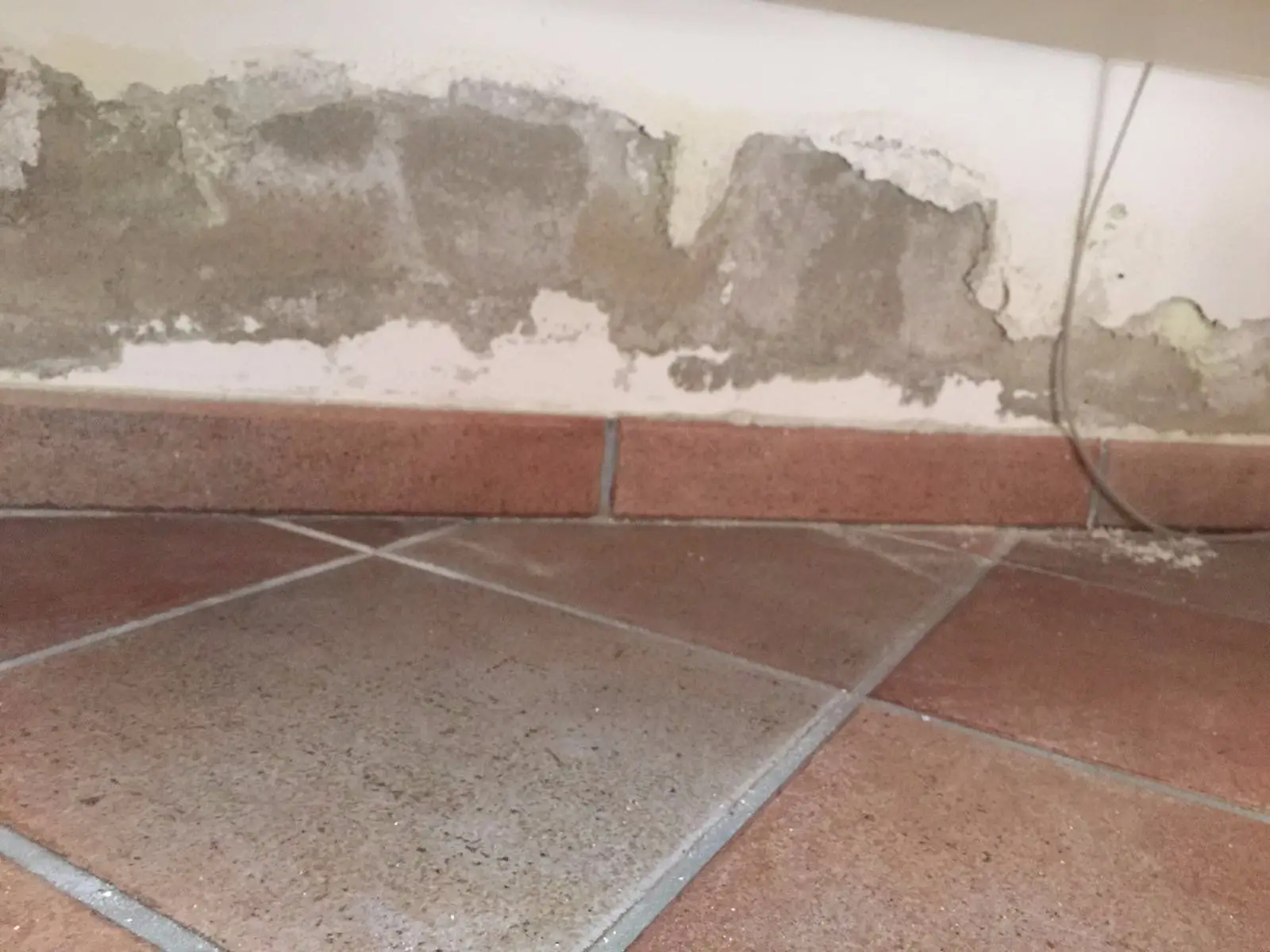 Tappa subito le crepe in bagno con la miscela rapida di farina e aceto: metodo virale Tappa subito le crepe in bagno con la miscela rapida di farina e aceto: metodo virale