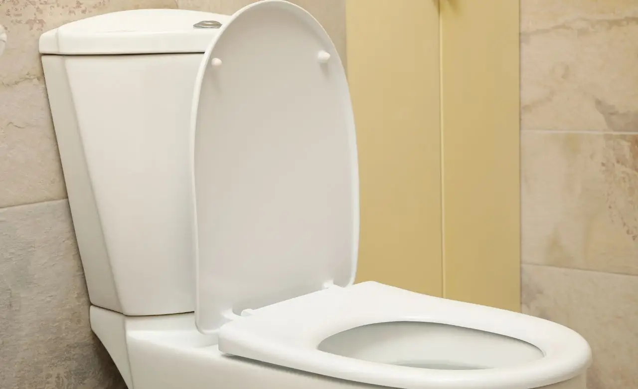 Allontana lo spettro degli insetti dal WC con una pastiglia effervescente per dentiere Allontana lo spettro degli insetti dal WC con una pastiglia effervescente per dentiere