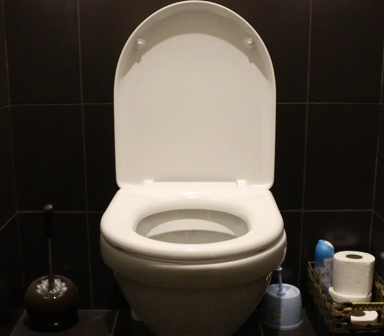 Allontana lo spettro degli insetti dal WC con una pastiglia effervescente per dentiere Allontana lo spettro degli insetti dal WC con una pastiglia effervescente per dentiere