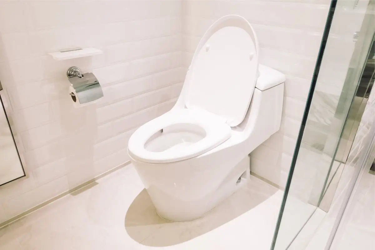 Allontana lo spettro degli insetti dal WC con una pastiglia effervescente per dentiere Allontana lo spettro degli insetti dal WC con una pastiglia effervescente per dentiere
