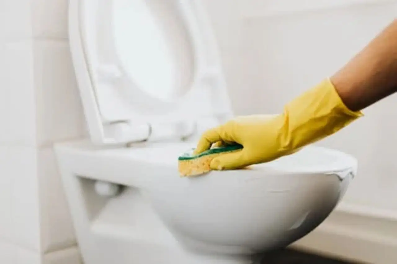 Come pulire il wc in modo efficace senza danneggiare le superfici: i consigli che forse non conoscevi Come pulire il wc in modo efficace senza danneggiare le superfici: i consigli che forse non conoscevi