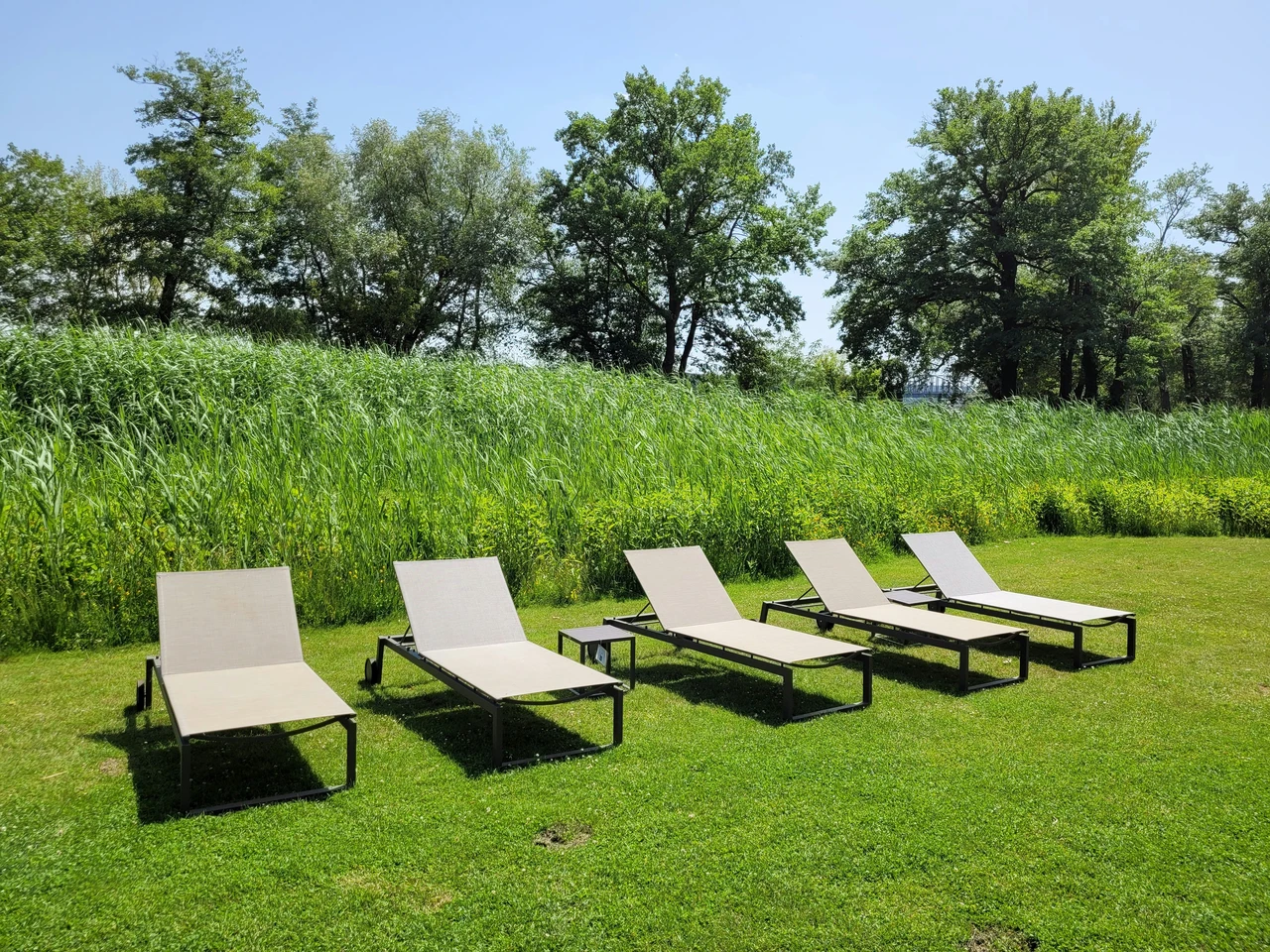 Come preparare e smuovere il terreno del giardino: tecniche semplici per far rifiorire i tuoi spazi verdi Come preparare e smuovere il terreno del giardino: tecniche semplici per far rifiorire i tuoi spazi verdi