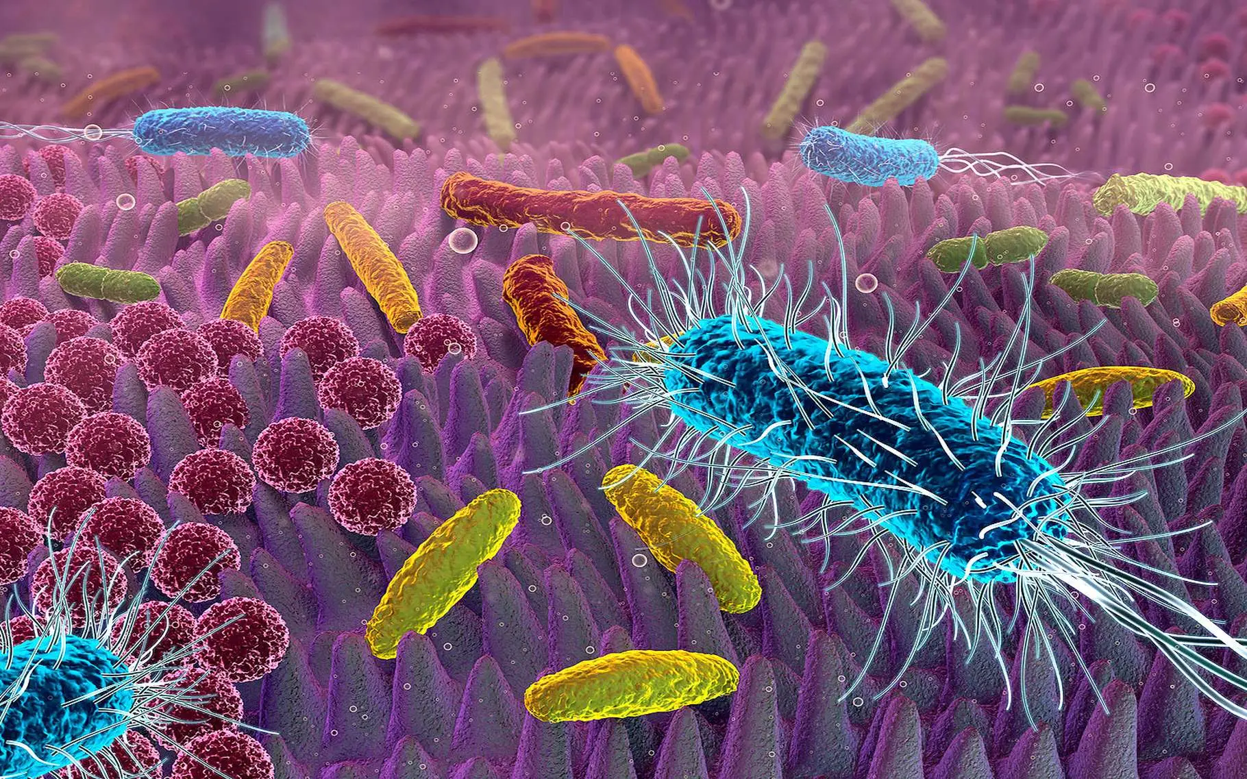 Infezione interna: quali segnali riconoscere e quando preoccuparsi per la salute