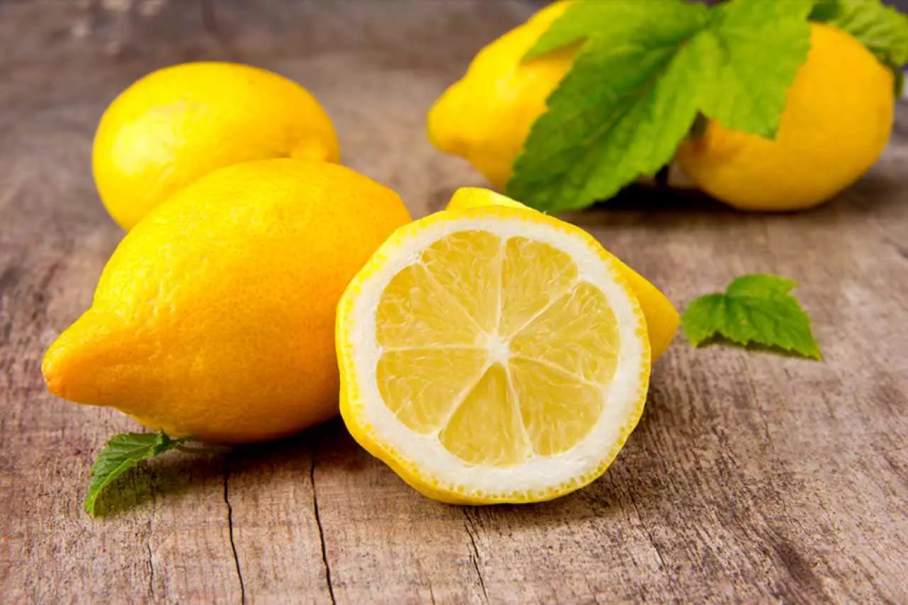 Quando potare il limone: consigli pratici e curiosità sulla cura degli agrumi
