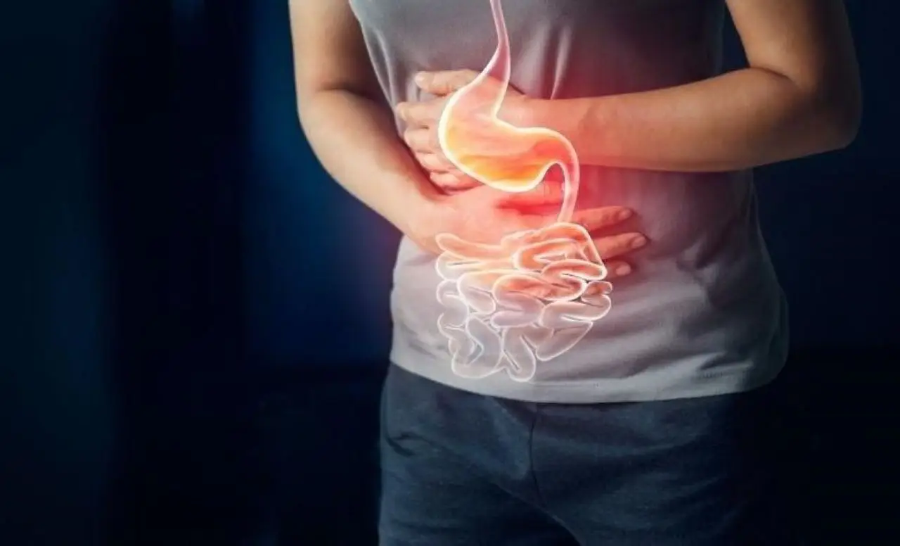 Apparato gastrointestinale: funzioni, curiosità e importanza per la salute di tutto il corpo