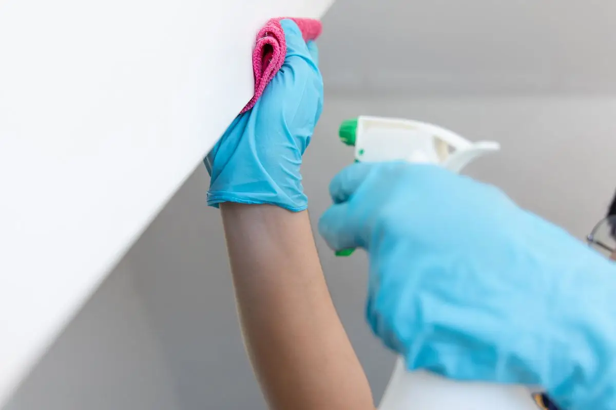 Pulire i muri dopo il passaggio dei topi: i disinfettanti più efficaci da usare subito Pulire i muri dopo il passaggio dei topi: i disinfettanti più efficaci da usare subito