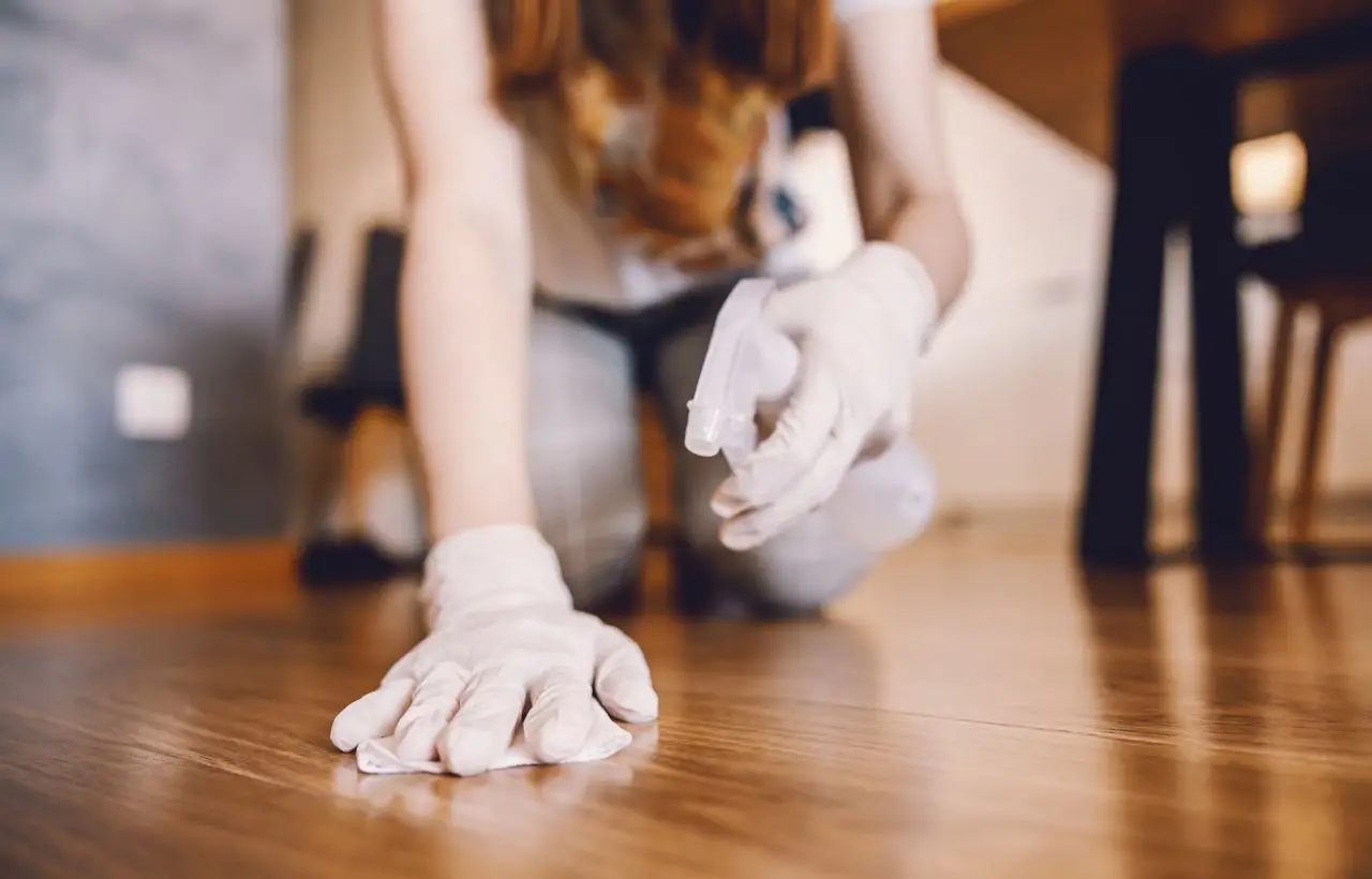 Pulire i muri dopo il passaggio dei topi: i disinfettanti più efficaci da usare subito Pulire i muri dopo il passaggio dei topi: i disinfettanti più efficaci da usare subito