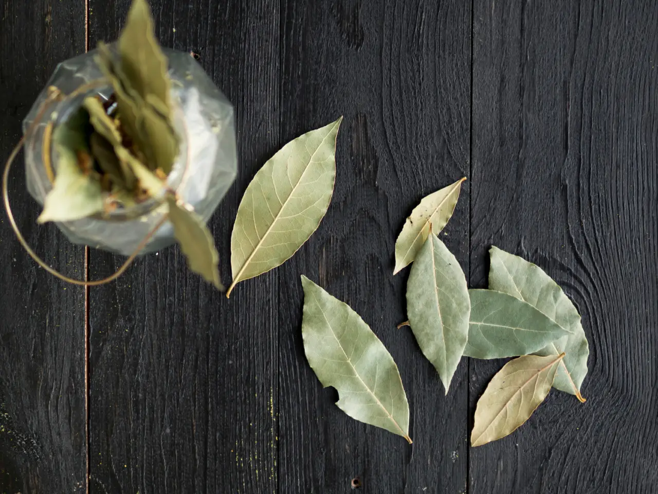 Non mettere mai l’alloro in questo punto della casa: porta sfortuna e insetti Non mettere mai l’alloro in questo punto della casa: porta sfortuna e insetti