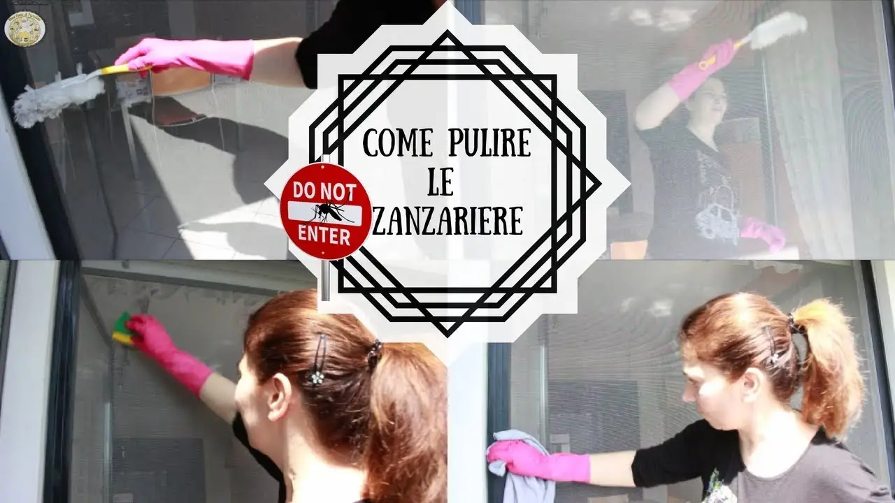 Come pulire le zanzariere senza smontarle: il metodo più veloce Come pulire le zanzariere senza smontarle: il metodo più veloce