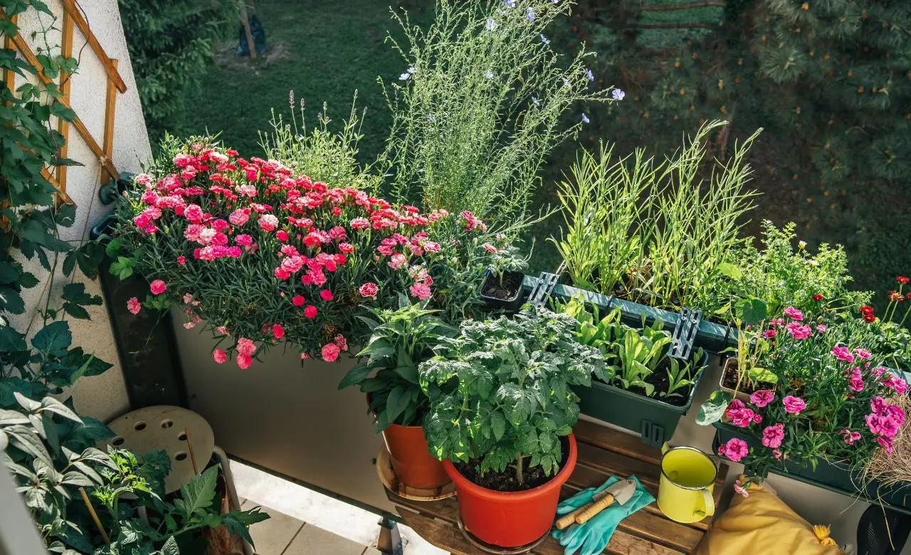 Come profumare il balcone e allontanare gli insetti in una sola mossa Come profumare il balcone e allontanare gli insetti in una sola mossa