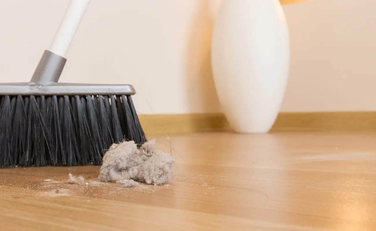 Attenzione a dove metti la scopa: ecco cosa attiri se la lasci in questo punto della casa Attenzione a dove metti la scopa: ecco cosa attiri se la lasci in questo punto della casa