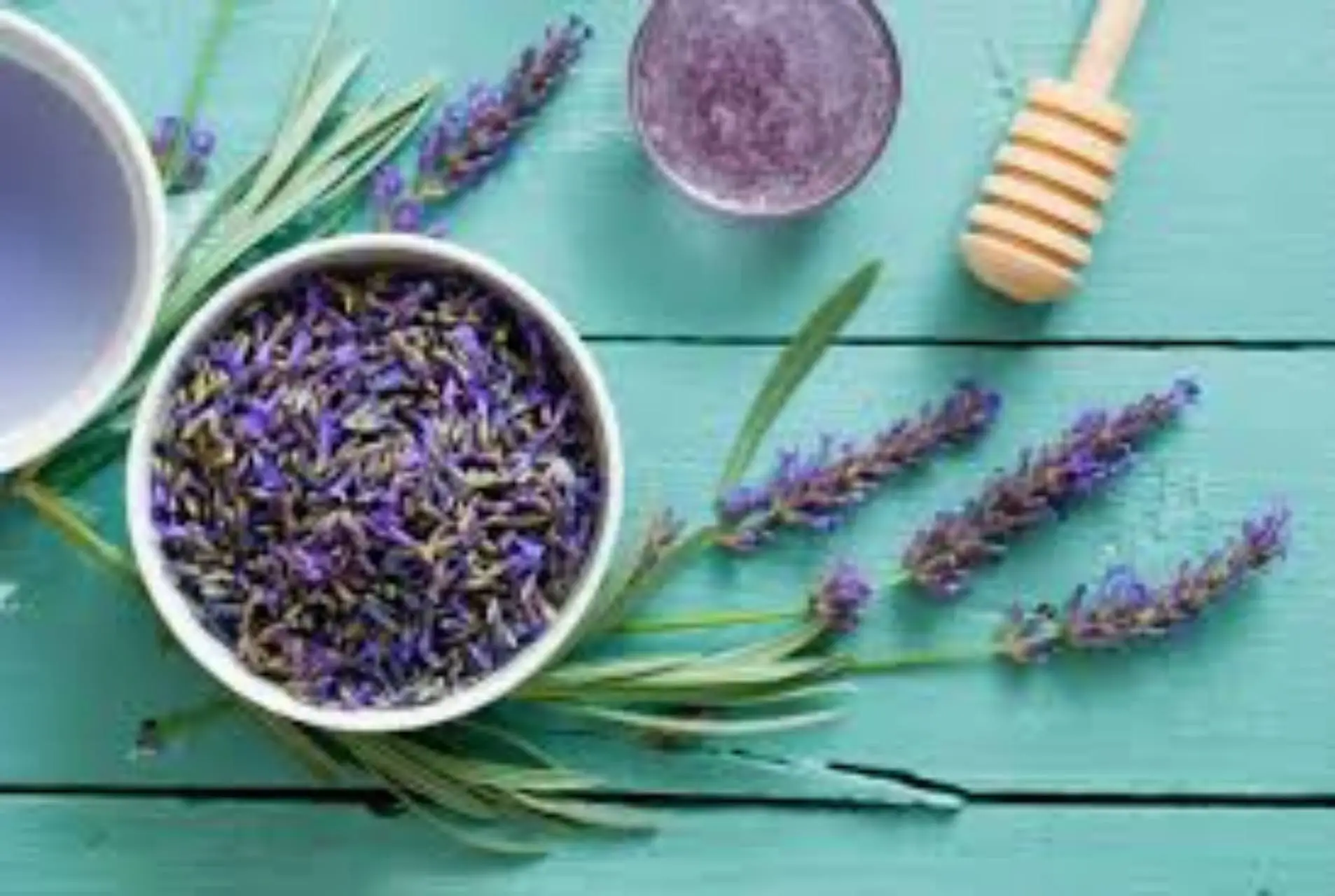 Lato oscuro della lavanda: ecco quando non va mai usata in casa Lato oscuro della lavanda: ecco quando non va mai usata in casa