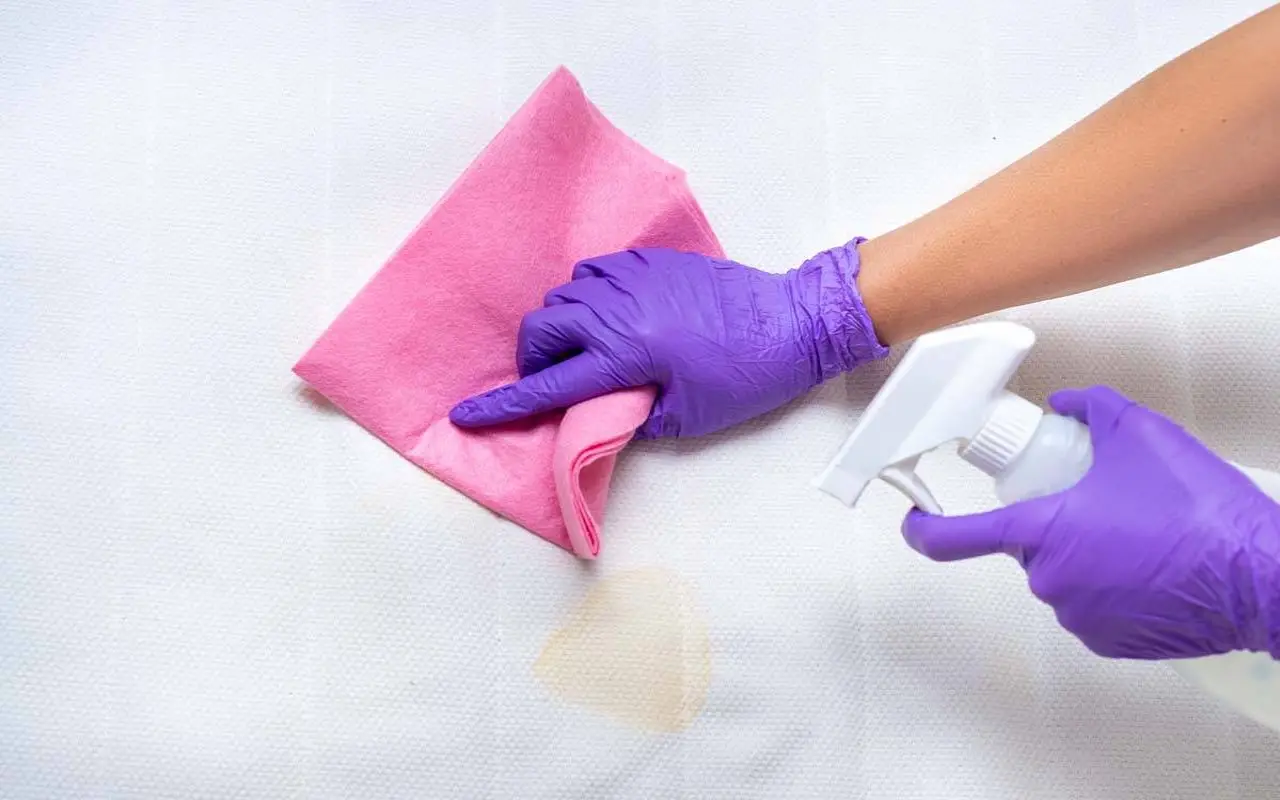 Esperienza personale: come ho eliminato gli acari dal letto con ingredienti che hai già in casa Esperienza personale: come ho eliminato gli acari dal letto con ingredienti che hai già in casa