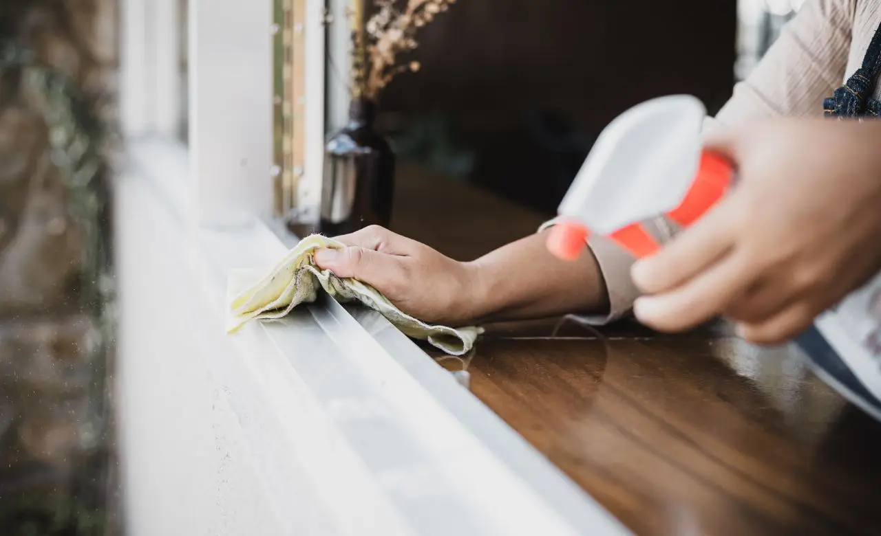 Prevenzione efficace: cosa cambia se pulisci i davanzali con aceto contro i piccioni Prevenzione efficace: cosa cambia se pulisci i davanzali con aceto contro i piccioni
