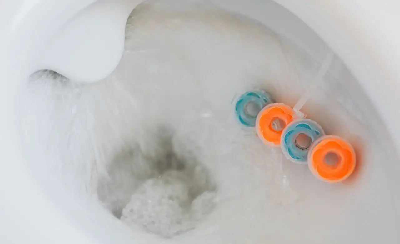 Proteggi la tua tranquillità domestica eliminando gli odori sgradevoli dal bagno oggi stesso Proteggi la tua tranquillità domestica eliminando gli odori sgradevoli dal bagno oggi stesso
