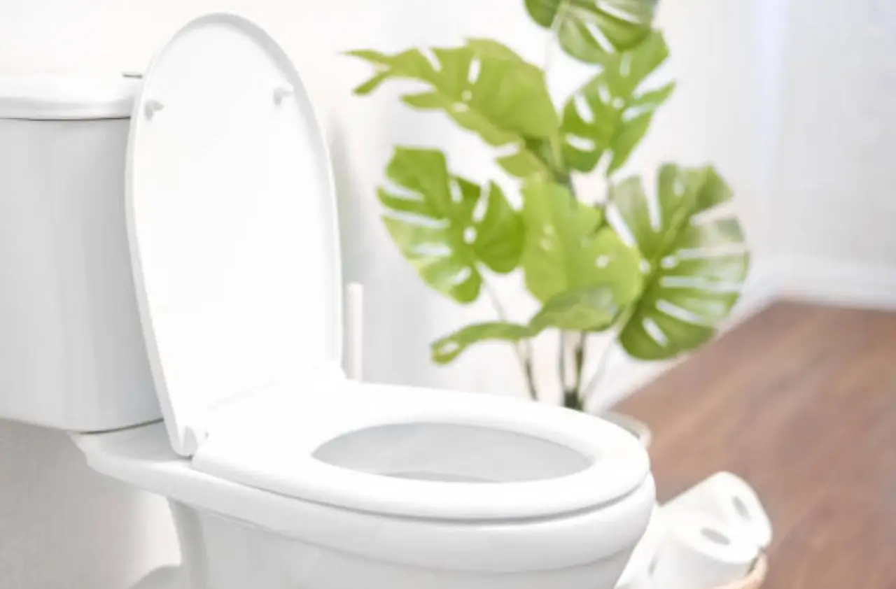 Proteggi la tua tranquillità domestica eliminando gli odori sgradevoli dal bagno oggi stesso Proteggi la tua tranquillità domestica eliminando gli odori sgradevoli dal bagno oggi stesso