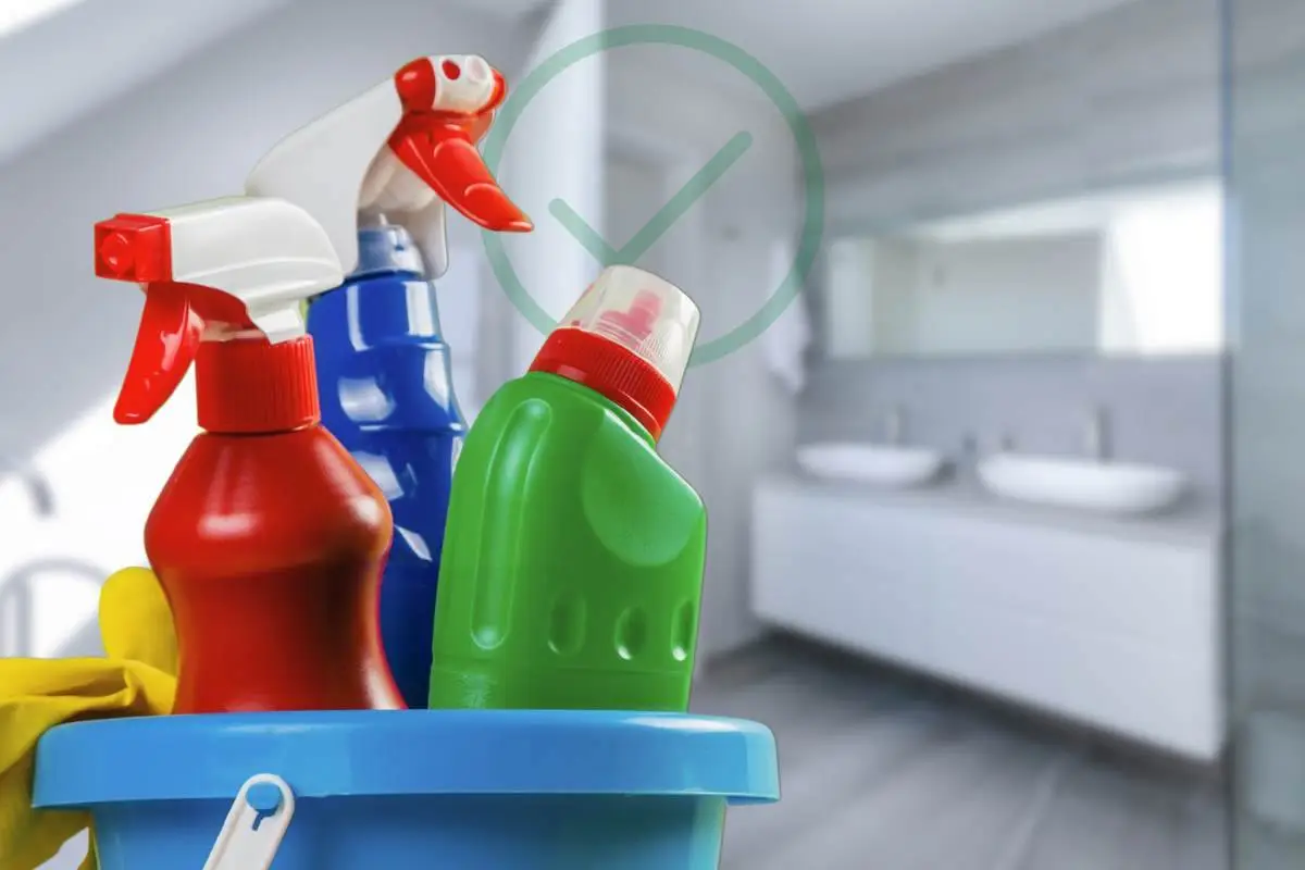 Evita errori comuni che attirano blatte in bagno: cosa fare subito per prevenirle Evita errori comuni che attirano blatte in bagno: cosa fare subito per prevenirle