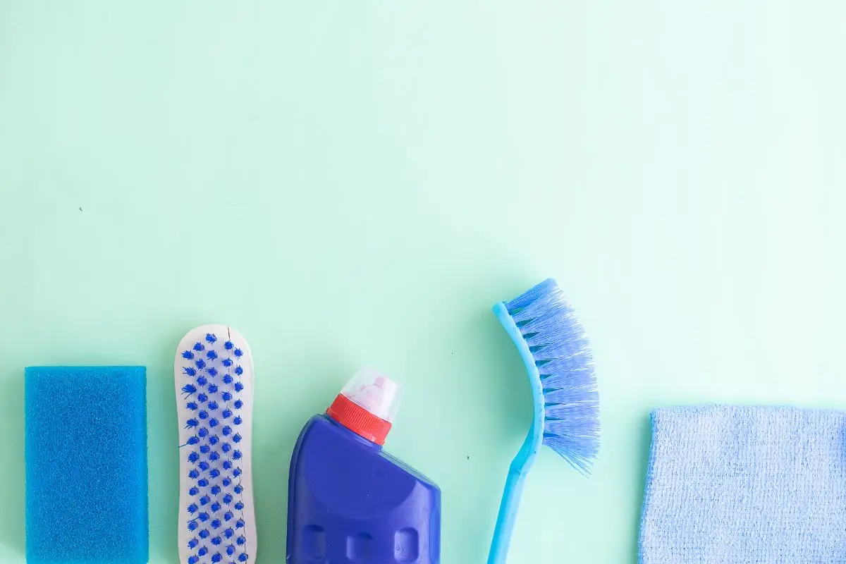 Evita errori comuni che attirano blatte in bagno: cosa fare subito per prevenirle Evita errori comuni che attirano blatte in bagno: cosa fare subito per prevenirle