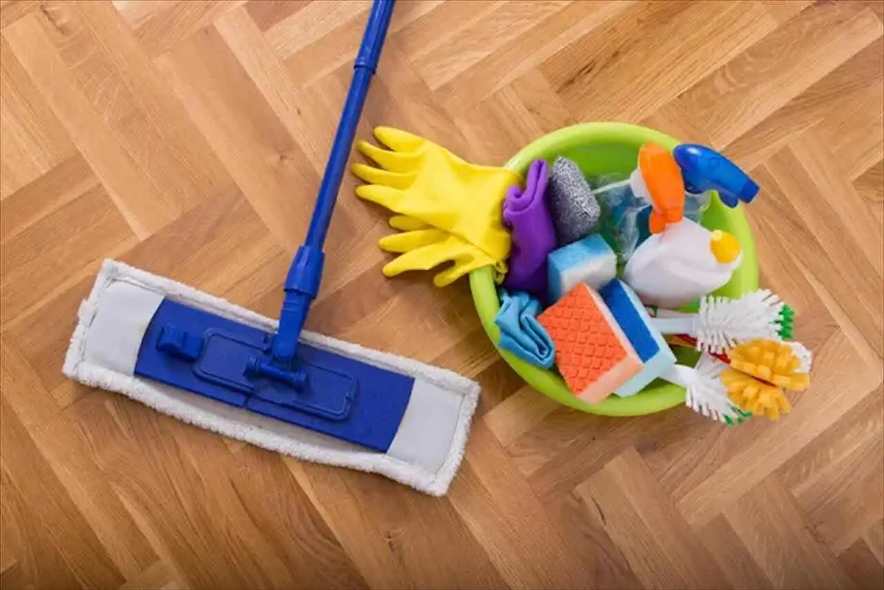 Evita errori comuni che attirano blatte in bagno: cosa fare subito per prevenirle Evita errori comuni che attirano blatte in bagno: cosa fare subito per prevenirle