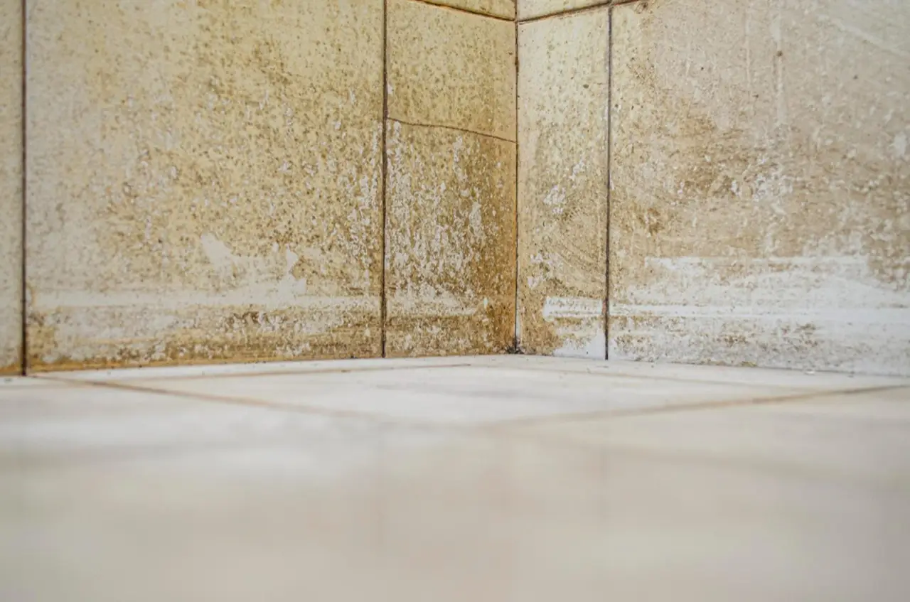 Prova subito il metodo naturale che elimina la muffa dagli angoli del bagno in pochi minuti Prova subito il metodo naturale che elimina la muffa dagli angoli del bagno in pochi minuti