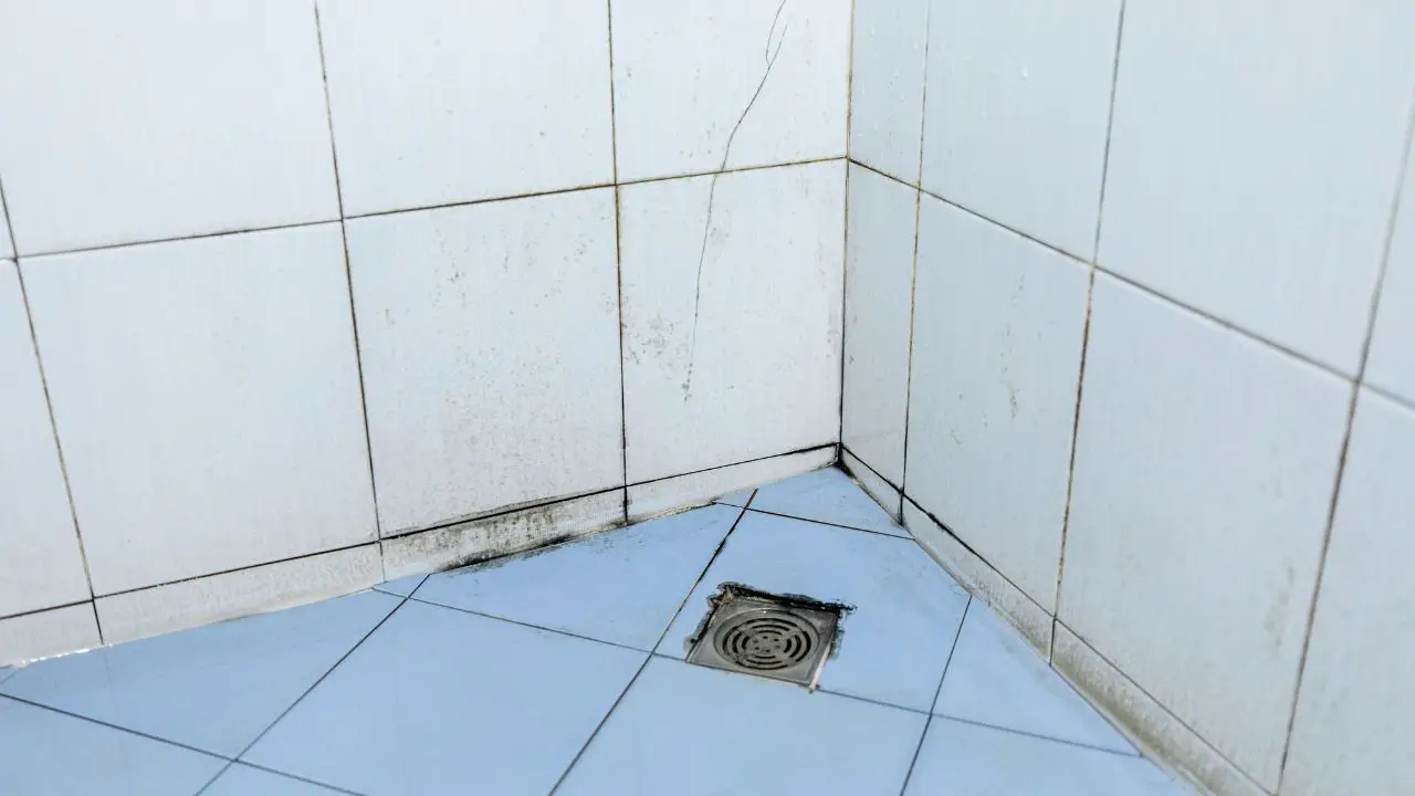 Prova subito il metodo naturale che elimina la muffa dagli angoli del bagno in pochi minuti Prova subito il metodo naturale che elimina la muffa dagli angoli del bagno in pochi minuti