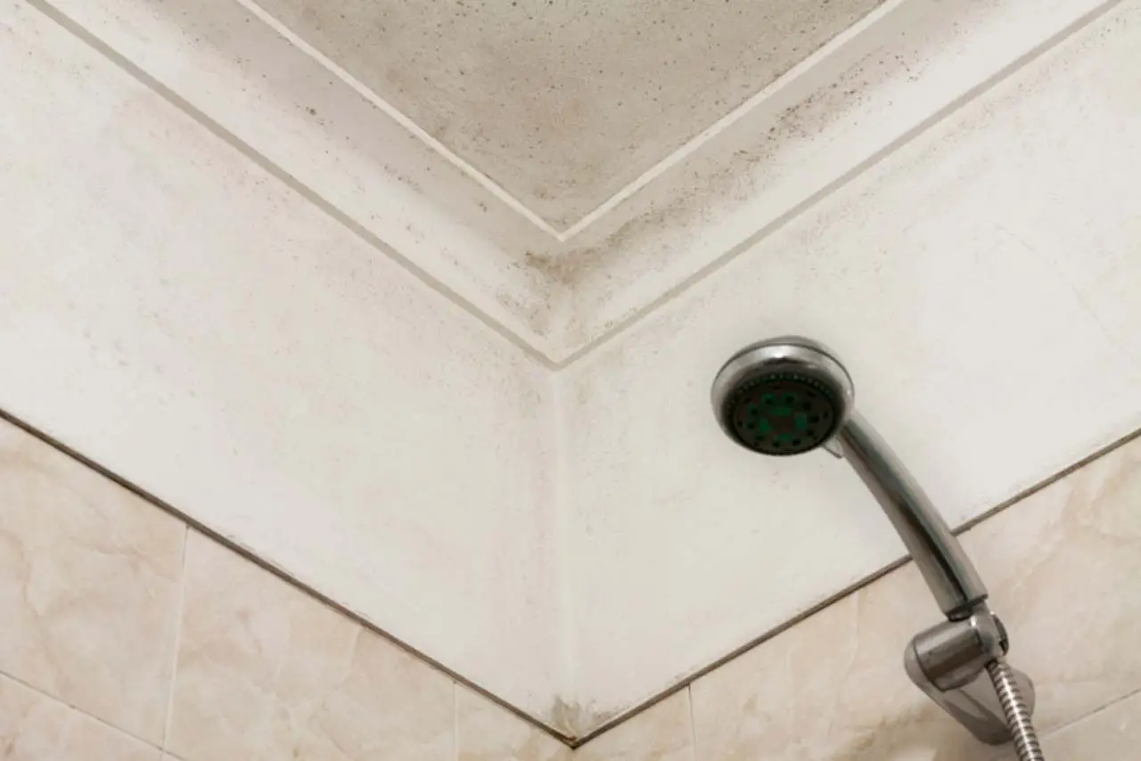 Prova subito il metodo naturale che elimina la muffa dagli angoli del bagno in pochi minuti Prova subito il metodo naturale che elimina la muffa dagli angoli del bagno in pochi minuti