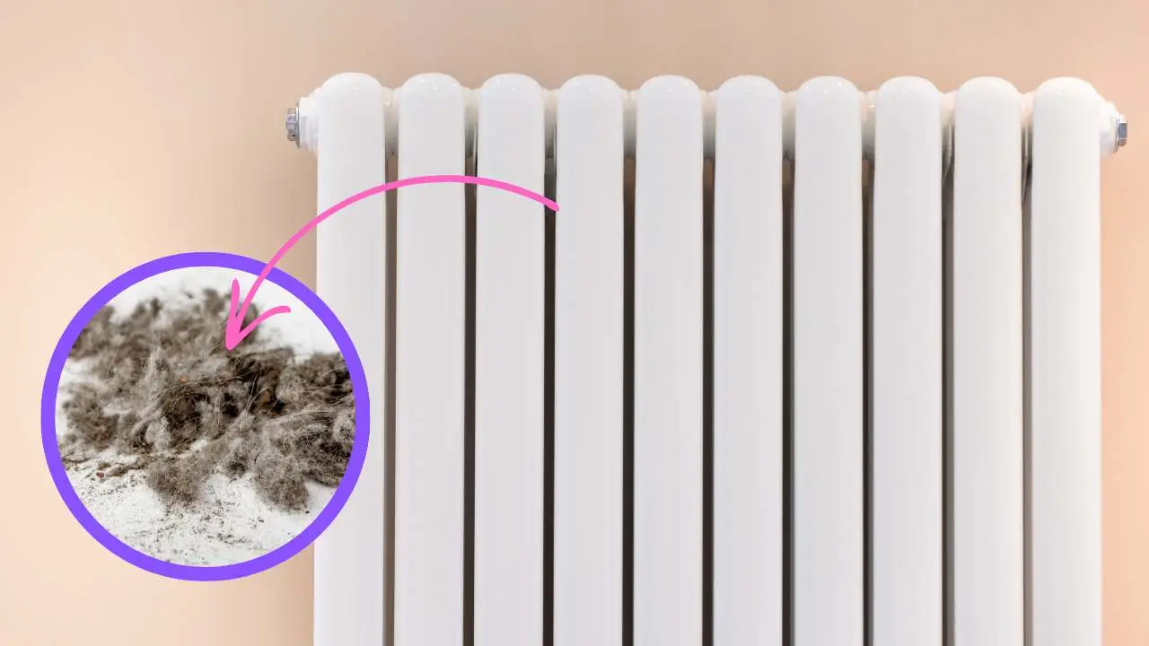 Elimina in sicurezza la polvere dai termosifoni con un metodo pratico e sostenibile Elimina in sicurezza la polvere dai termosifoni con un metodo pratico e sostenibile