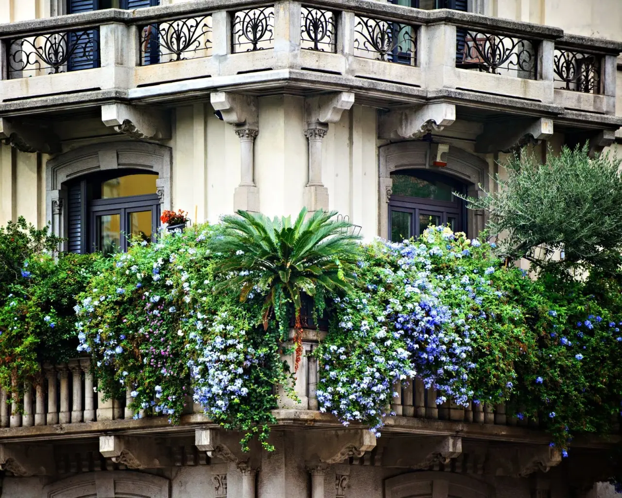 Nuove soluzioni green per proteggere il balcone dall’invasione degli insetti estivi Nuove soluzioni green per proteggere il balcone dall’invasione degli insetti estivi