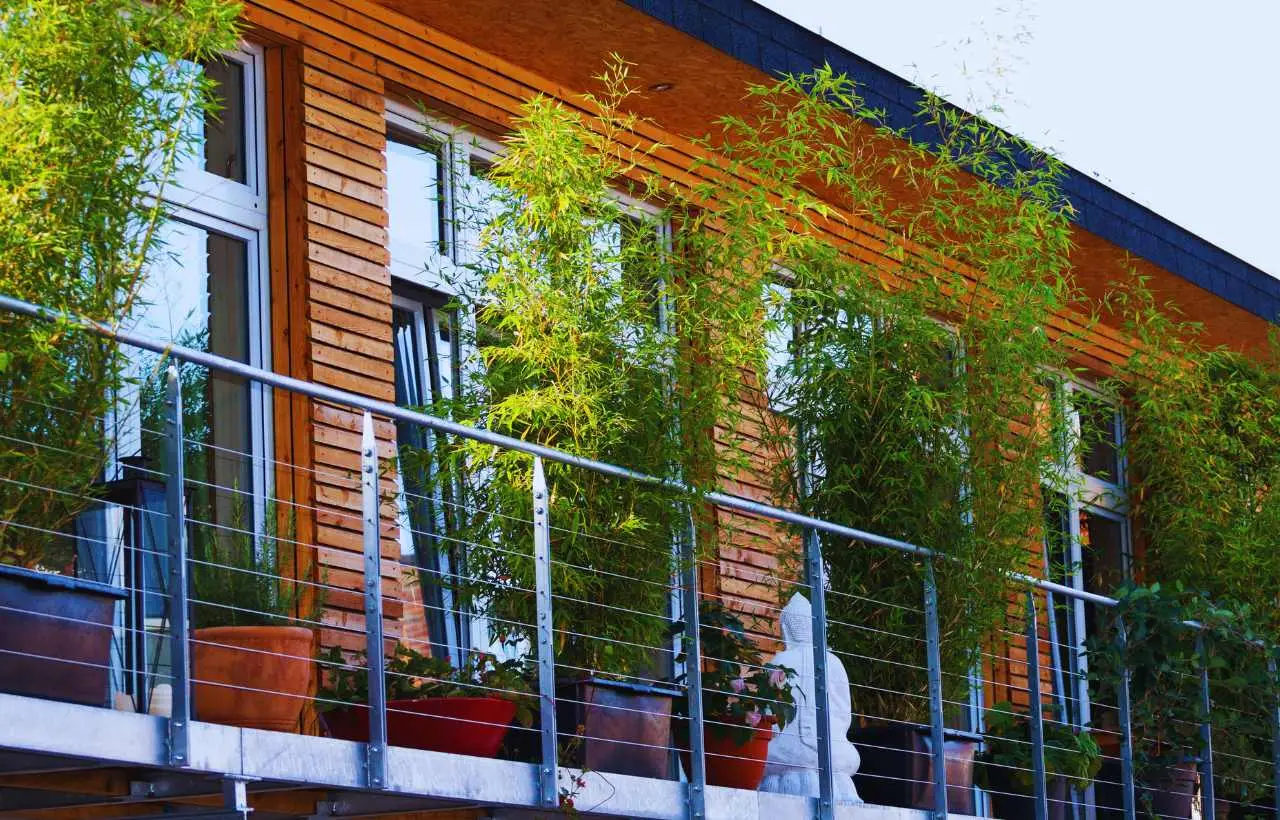 Nuove soluzioni green per proteggere il balcone dall’invasione degli insetti estivi Nuove soluzioni green per proteggere il balcone dall’invasione degli insetti estivi