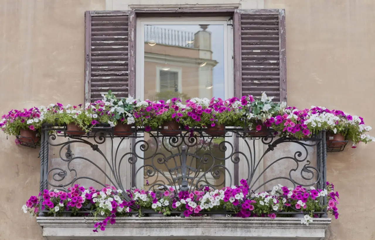 Nuove soluzioni green per proteggere il balcone dall’invasione degli insetti estivi Nuove soluzioni green per proteggere il balcone dall’invasione degli insetti estivi