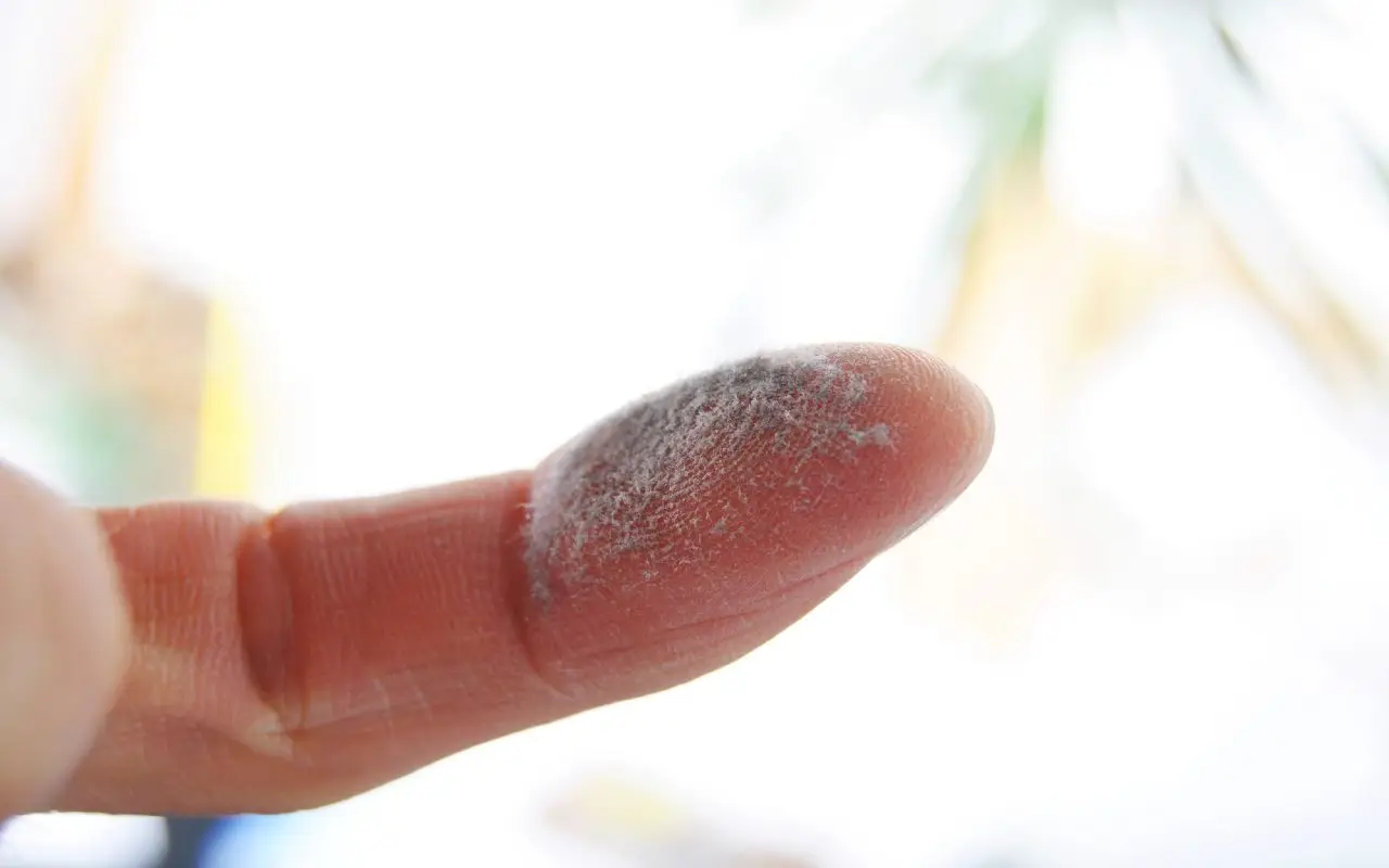 Non sprecare soldi in spray: usa il borotalco per allontanare i ragni dalle stanze Non sprecare soldi in spray: usa il borotalco per allontanare i ragni dalle stanze