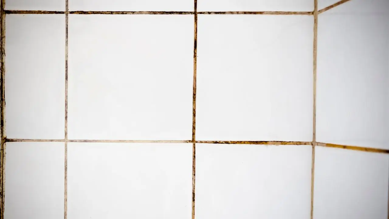 Vuoi evitare muffa tra le piastrelle? Scopri il trucco segreto dei casalinghi esperti Vuoi evitare muffa tra le piastrelle? Scopri il trucco segreto dei casalinghi esperti