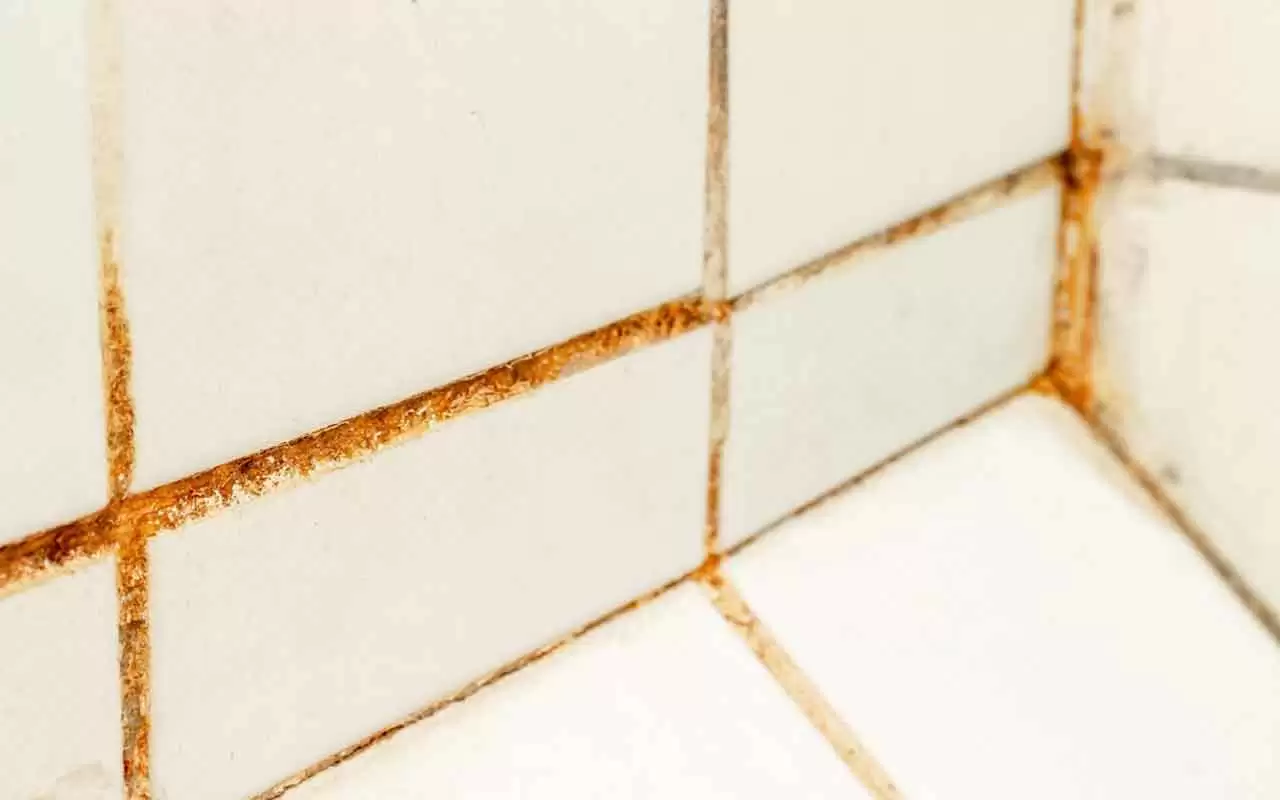 Hai trovato tracce di muffa nelle fughe? Rimuovile ora con semplice acqua ossigenata Hai trovato tracce di muffa nelle fughe? Rimuovile ora con semplice acqua ossigenata